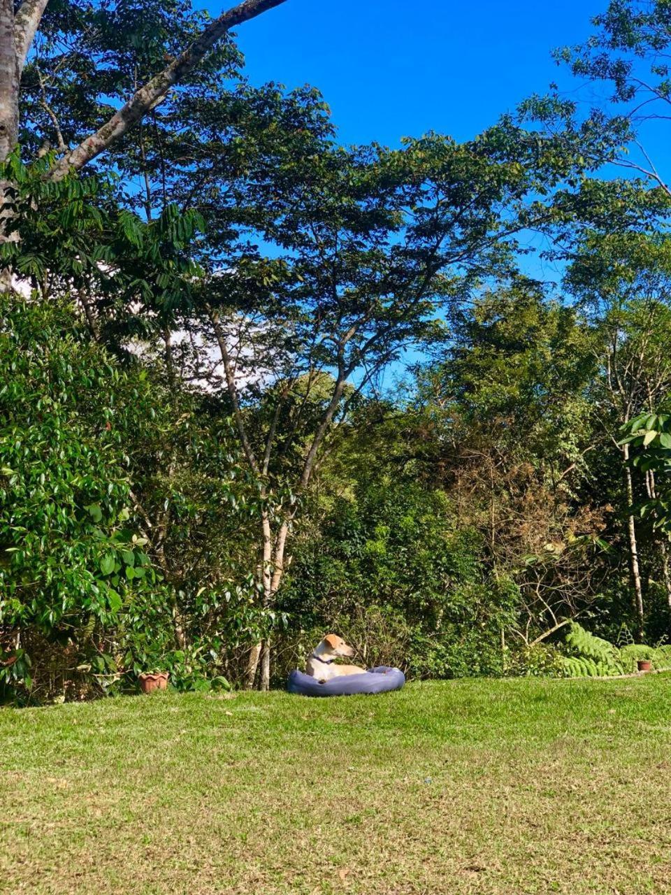 Sitio Andrez *
